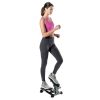Mini Stepper with Monitor - Low Impact Black and Gray Stepper- Great Design for at Home Workouts - Step